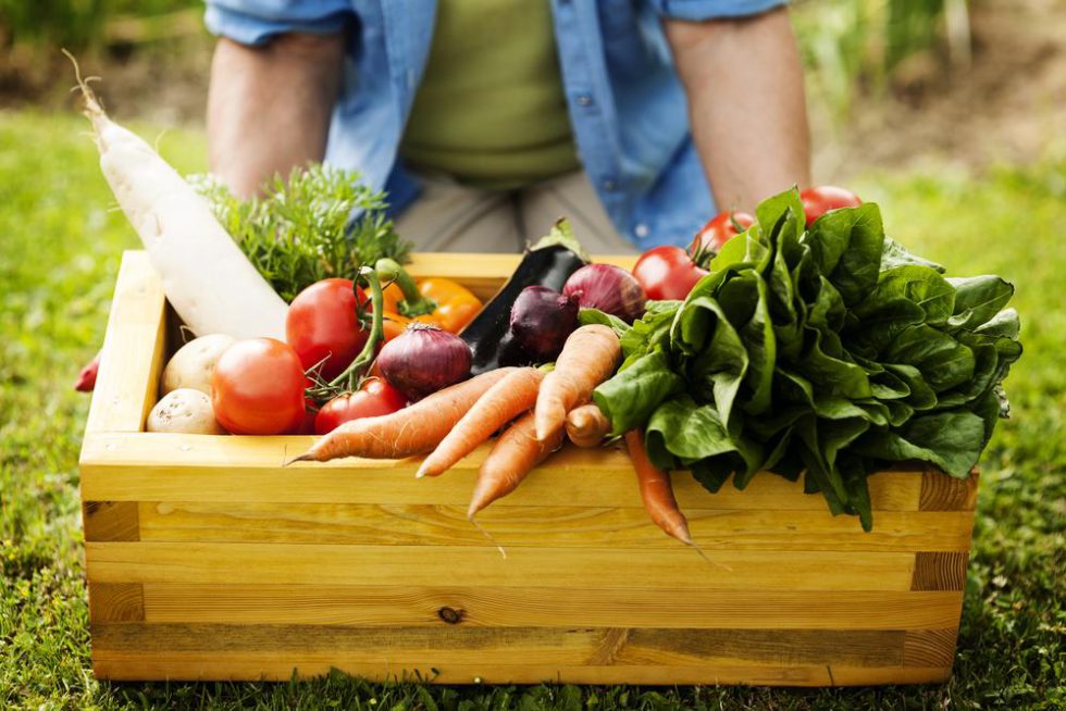 Qué es la gastronomía sostenible y qué ventajas tiene Azlo