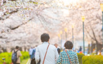 ¿Qué es la japonización y por qué podría ser un problema para la Unión Europea?